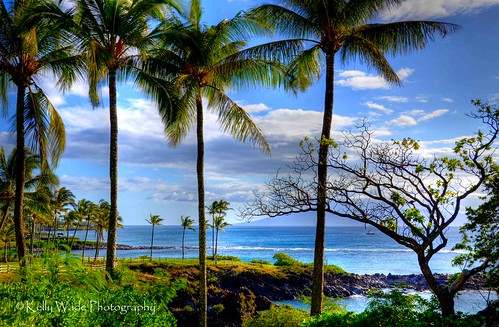 Kapalua Maui by nikonkell Kelly Wade Photography