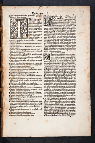 Woodcut initials in Serapion, Johannes, the Elder: Breviarium medicinae