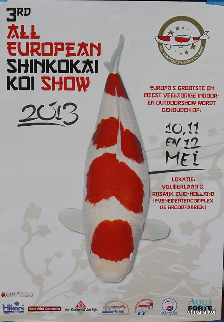 PosterShinkokai2013