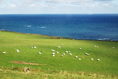 Scotland coast