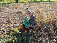 Lisa and the baby peapod in the pumpkins