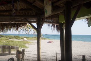 View, Sharky's on the Pier, Venice, FL, Restaurant Review