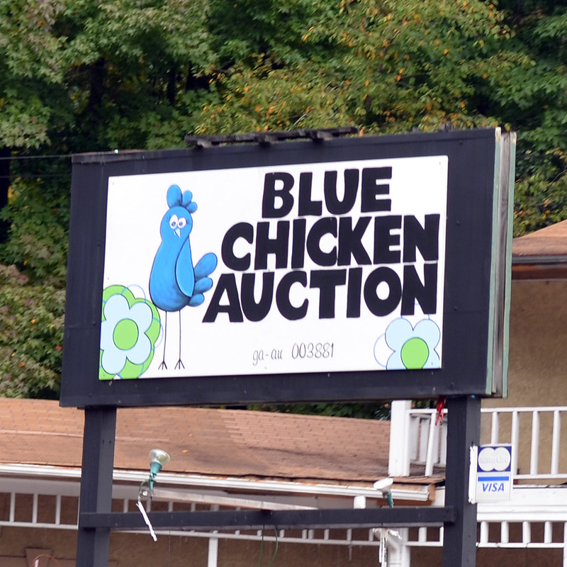 Blue Chicken Auction