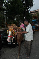 Nerjis Asif Shakir First Horse Ride 1 Year Old by firoze shakir photographerno1