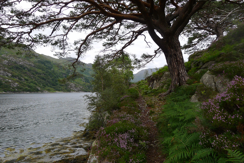 The path beside Loch Hourn