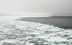 2012年8月1日，挪威斯瓦巴群島附近的北極浮冰，照片由奈特（Randy Knight）提供。
