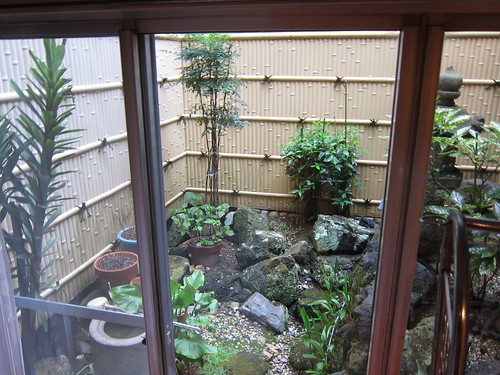Our room's plastic garden in Nagoya