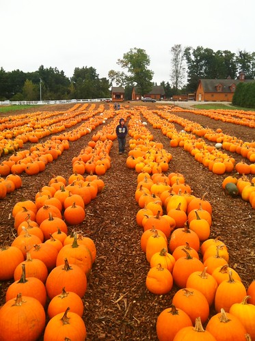 Where is the Great Pumpkin?