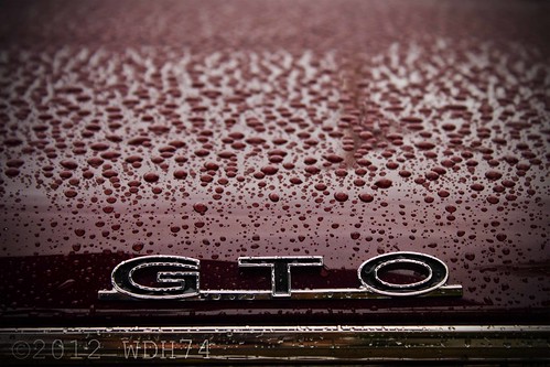 GTO by William 74