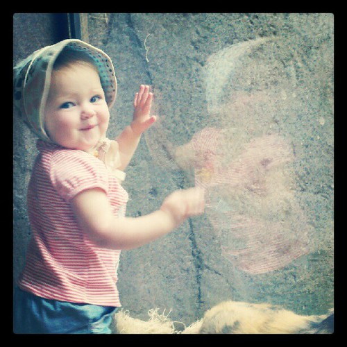 Birthday girl loooved the zoo!!
