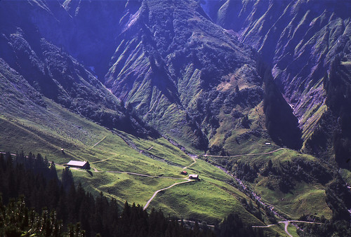 無料写真素材|自然風景|山|風景オーストリア