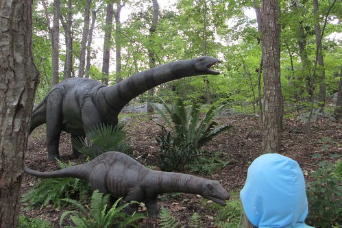 My mom: "Hey Catie, is that an allosaurus?" Her: "No, Mimi, it's an APATOSAURUS." And she was right. Of course.