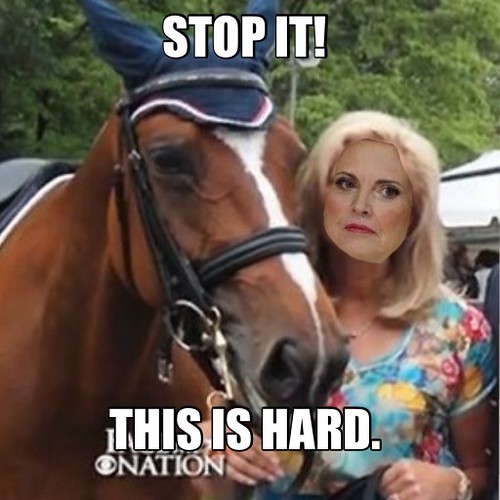 Ann Romney says stop it