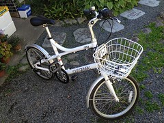 ルイガノの自転車