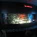 553-092312-New England Aquarium posted by Brian Whitmarsh to Flickr