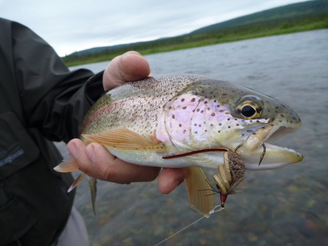 alaska fly fishing