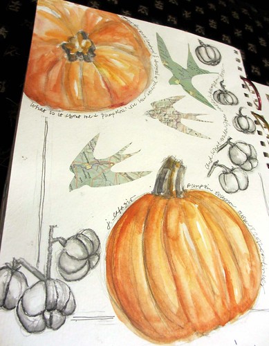 more pumpkins ~ from my sketchbook