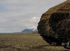 Spitsbergen: Nordenskiöld Land - 2012