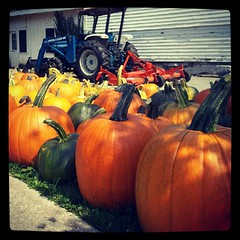 I love #fall ! #pumpkin #pumpkins #happy #autumn #newhampshire #farmstand