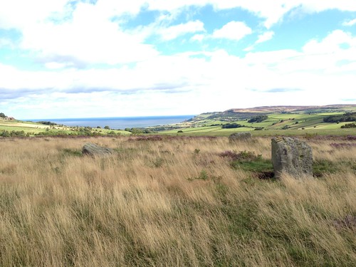 Ramsdale Stone Circle with Brow Moor in the distance
