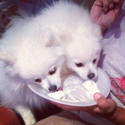 Sharing my ice cream cake