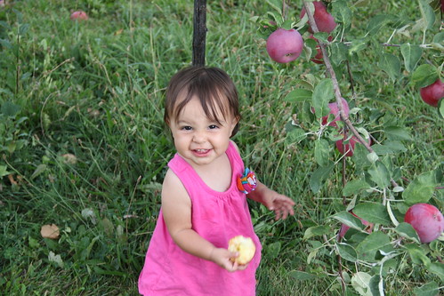 Standing baby picking apples 5