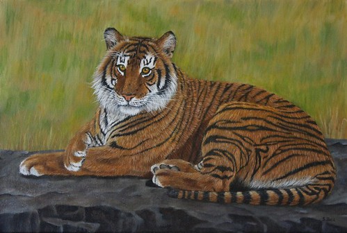 Tiger Laying Down by Sid's art