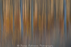 Abstract Photographs