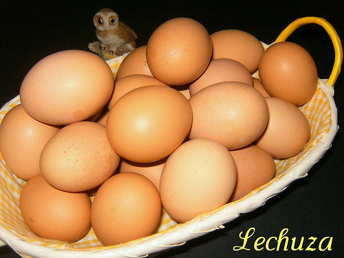 huevos crudos