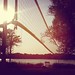 Late summer delight #sunflare #badminton #lake #sunset #trees