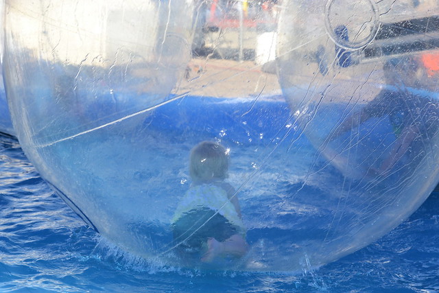 Eisley in the bubble