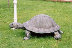 Büyük Kaplumbağa Heykeli 