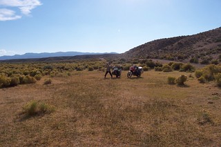 Tent Camping in a cow pasture in Nevada