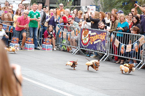 Running of the Weiners 2012