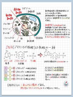 science_note