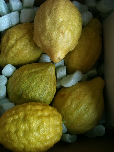 California grown Citrons!