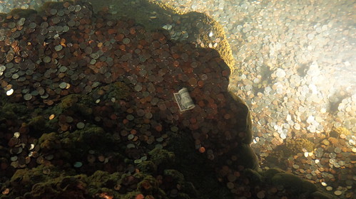 Luray Caverns - dollar bill in the wishing well