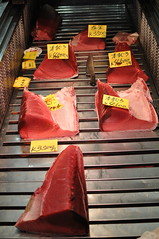 Tuna at Tsujiki Fish Market