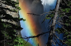 Canada Ouest - Clearwater / Parc Wells Gray