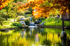 Hasselt - Japanse Tuin (Japanese Garden)