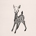 12.小鹿26X33 cm‧紙凹版collagraphs‧版數1-10‧2012