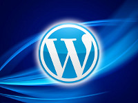 How To Use WordPress Themes?