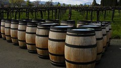 Consumo de vino en EEUU en alza: Crece importación de España, Italia y Argentina