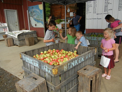 Aug 3 2012 Ryan's apple orchard