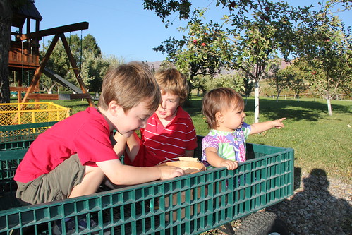 Three kids in a wagon 3 (the Captain leads the way)
