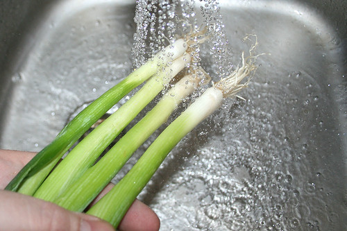 23 - Frühlingszwiebeln waschen / Wash spring onions