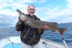 Great Northern Pike