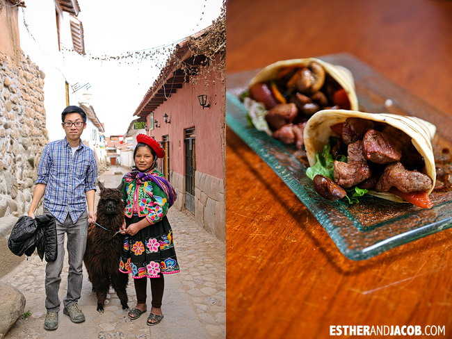 Alpacas: Pet them and eat them | What to do in Cusco | Peru Travel Photographer