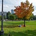 Boston Common Fall posted by Leslee_atFlickr to Flickr