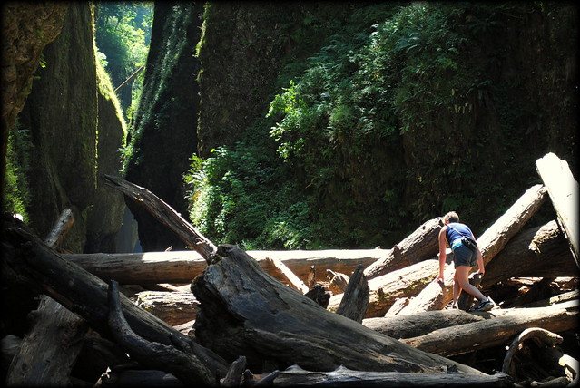 a hiker carefully navigates the log jam at Oneonta Gorge
